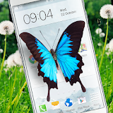 Butterfly in Phone lovely joke icon