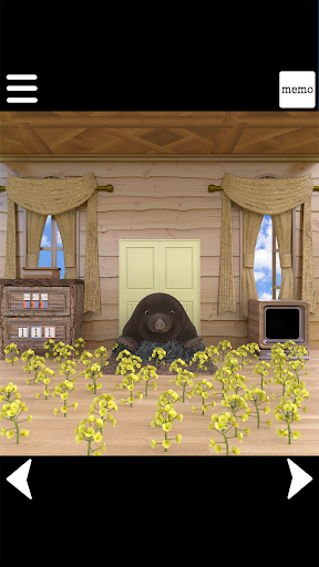 Escape game Escape from the flower house
