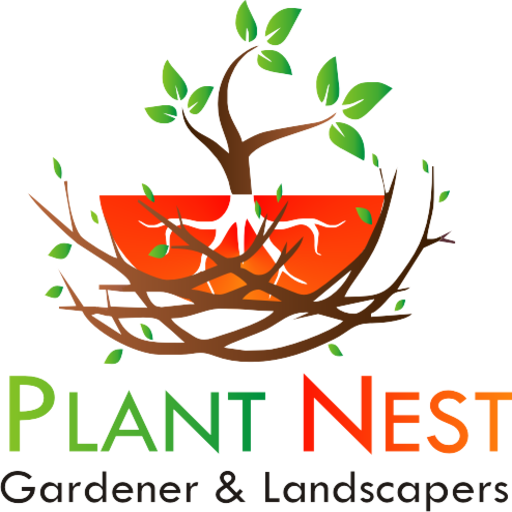 Plant nest. DVAC. Fidan арт центр логотип.