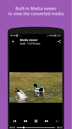 Avico Pro Screen 3