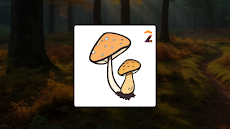 Mushroom Field Puzzleのおすすめ画像2