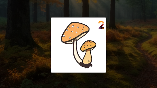Mushroom Field Puzzle