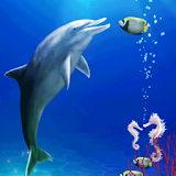 Dolphin and Friends icon