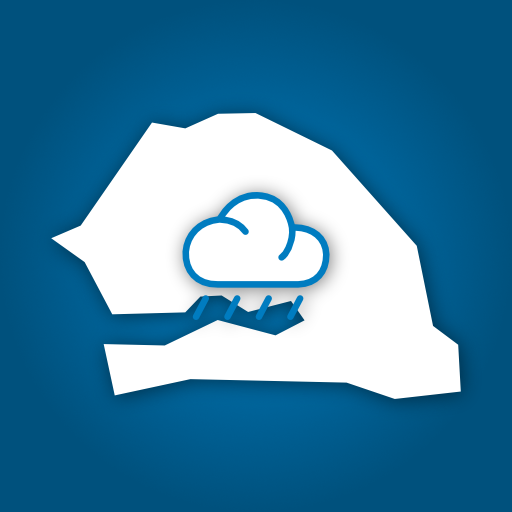 Rainsat Senegal logo