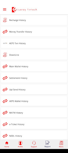 blueray fintech services Screen 2
