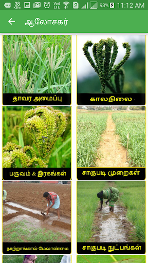 Ragi Expert System Tamil Screen 3