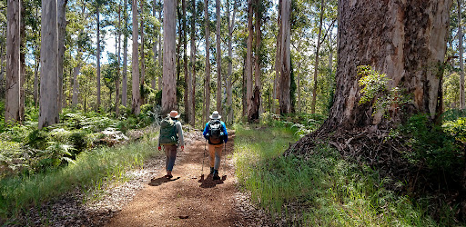 Bibbulmun Track Guide