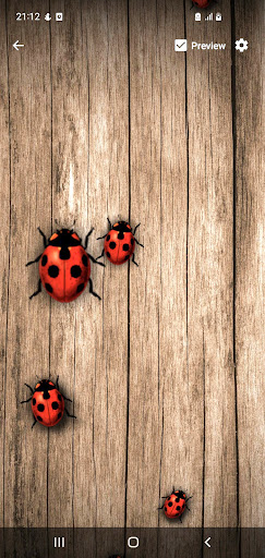 Android application Ladybug Live Wallpaper screenshort