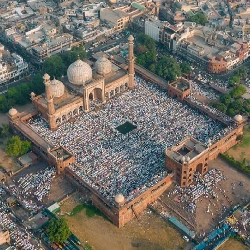 Badshahi Mosque Punjab logo