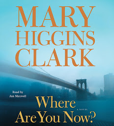 Icon image Where Are You Now?: A Novel