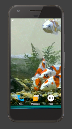 Koi Fish Tank Video Wallpaper Screen 2