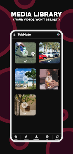 Tik tok Downloader no watermark - Tikmate