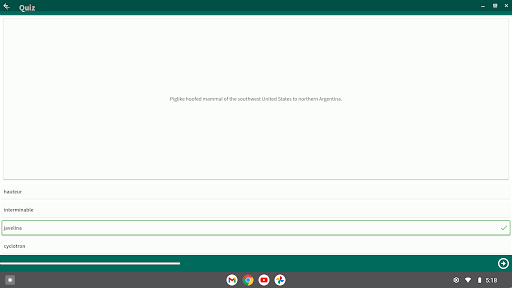 BOT Spelling Vocabulary