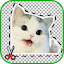 Sticker Maker: Love Stickers