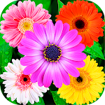 Cover Image of ダウンロード Flowers Stickers for WhatsApp  APK