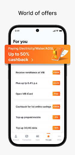 MyVIB Screen 3