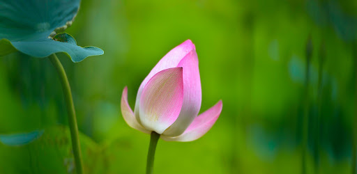 Brilliant School, Chowdavaram