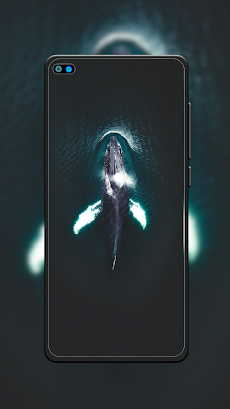 Whale Wallpaper HDのおすすめ画像3