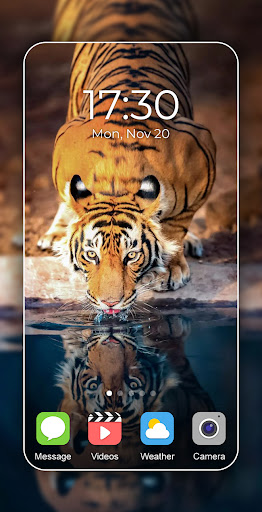 Tiger Wallpaper 2024 Screen 3