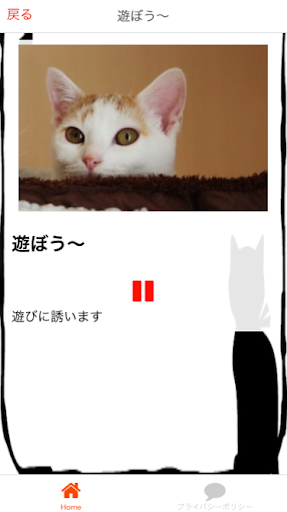 猫の鳴き声で猫語翻訳　　猫と会話ができるアプリ Screen 3