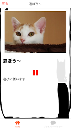 猫の鳴き声で猫語翻訳  猫と会話ができるアプリのおすすめ画像3