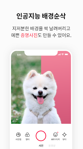 Android application 버찌 Budzzi - 반려동물 뷰티 카메라 screenshort