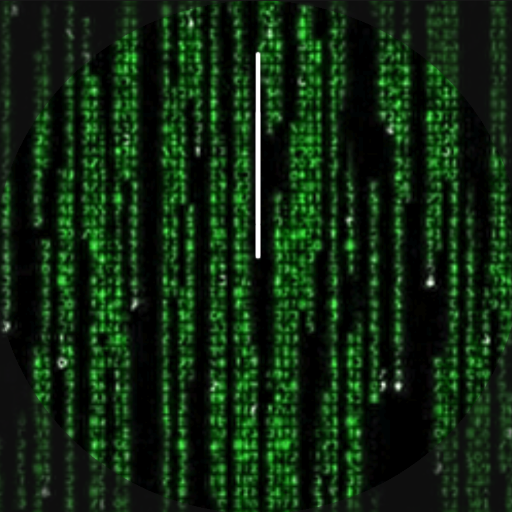 Matrix Animated Watch Face Logo