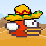 Mexican Bird icon