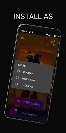Country Ringtones Screen 2