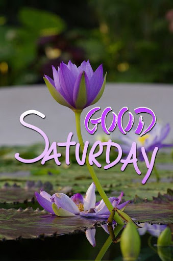 GoodNight GoodMorning GIF 2023