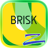 Brisk - ZERO launcher Theme icon