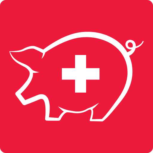 Health Info System logo