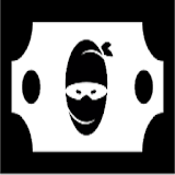 Payroll Ninja icon