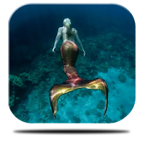 Mermaid Maritime Live