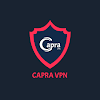 Capra VPN icon
