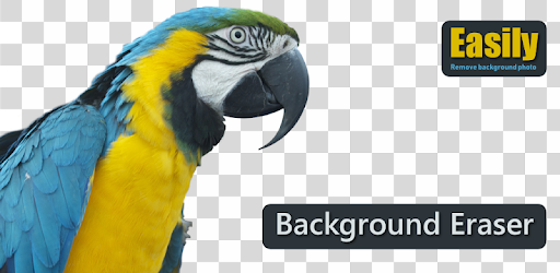 Background Eraser Assistant