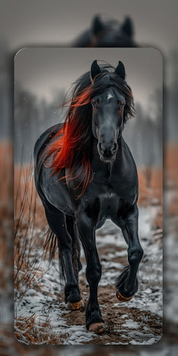 Horse Wallpaper 4K - HD Screenshot 4 - AppWisp.com
