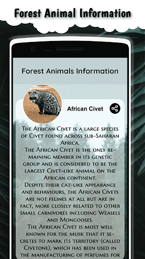 Forest animals information