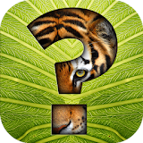 Guess The Animal Quiz Trivia icon