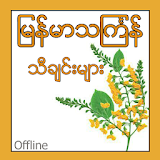 Myanmar Thingyan Songs icon