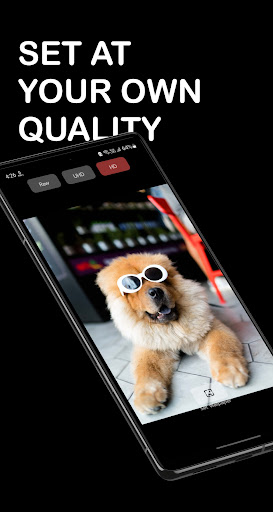 WallinationWallpaper that WoW