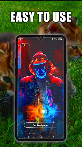 Kitty Live Wallpaper Screen 3