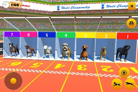 Dog Race Game: Dog Racing 3D Unknown
