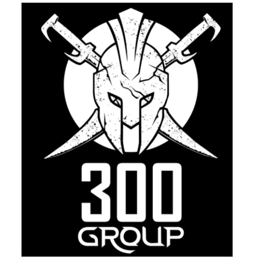 The 300 Group Online logo