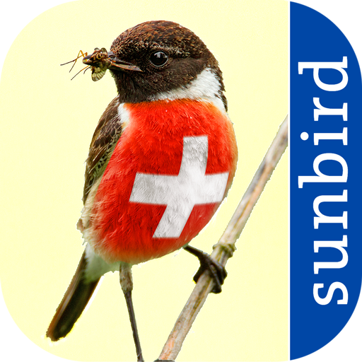 All Birds Switzerland 1.1 Icon