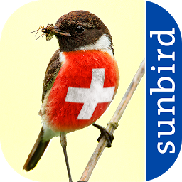 Icon image All Birds Switzerland