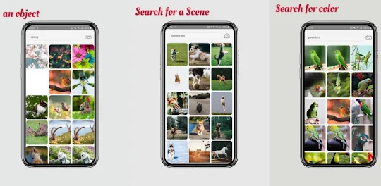 PhotoSeeker-find any photo