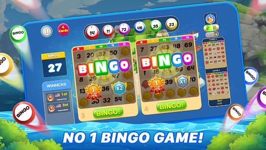 Bingo Island World Tour 2