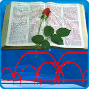 Top 11 Books & Reference Apps Like Studiu Biblic Crestin Gratuit - Best Alternatives