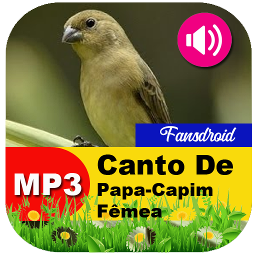Canto De Papa-Capim Fêmea – Apps no Google Play